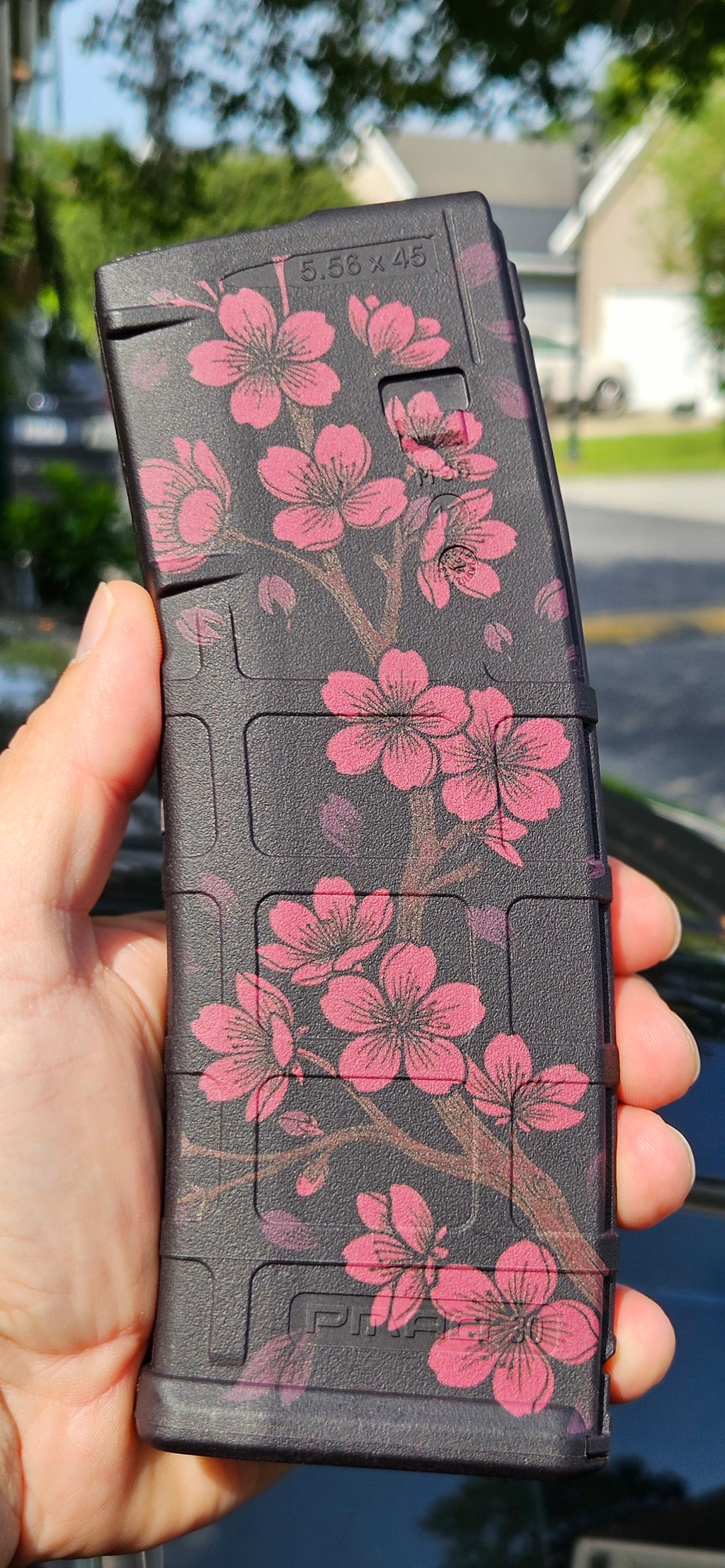 Cherry Blossom
